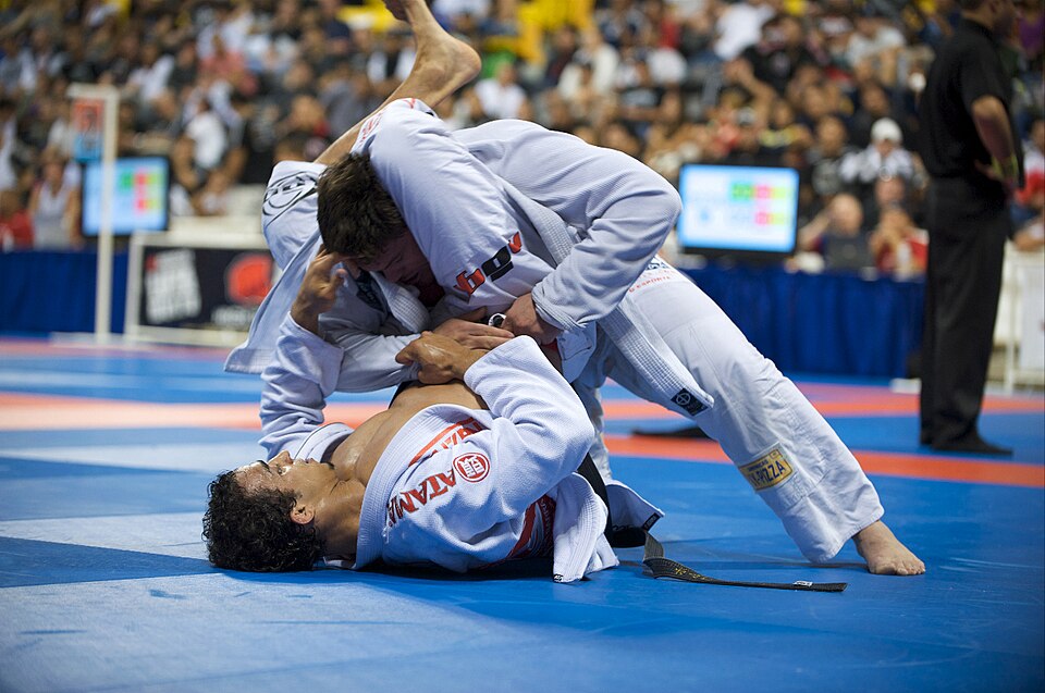 Brezilya Jiu-Jitsusu