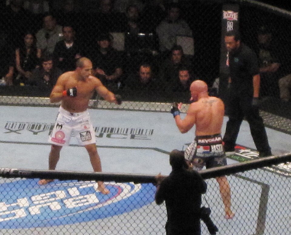 Karma Dövüş Sanatları (MMA)