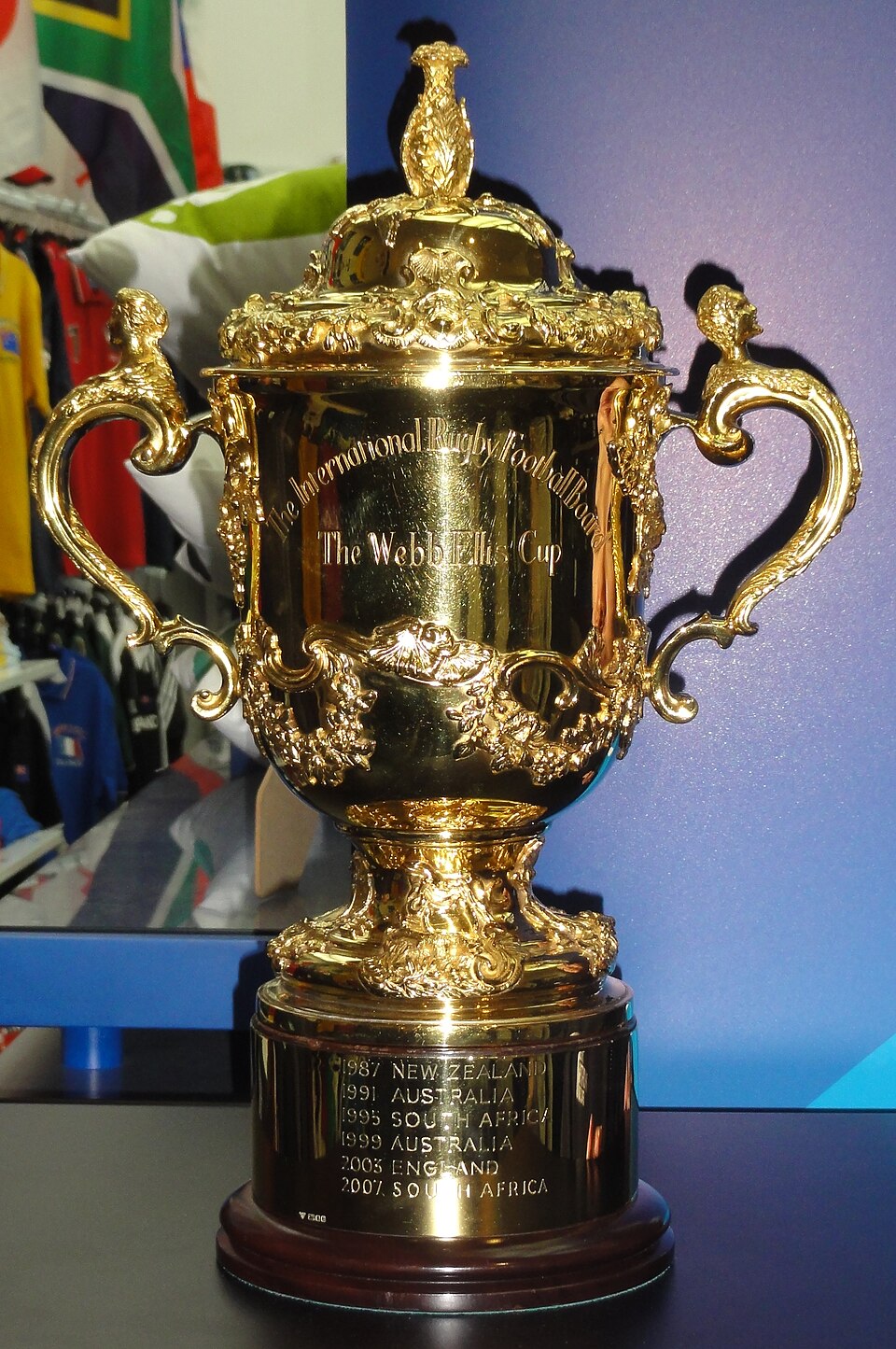 Rugby Dünya Kupası